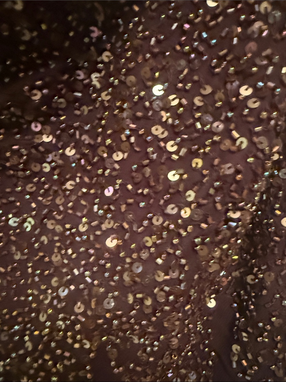 Sequin Cowl Neck Camisole in Dark Brown - Picture 3 of 7